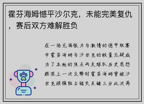 霍芬海姆憾平沙尔克，未能完美复仇，赛后双方难解胜负